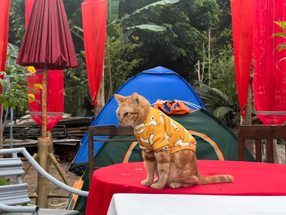 Homestay กิ่วลม - ชมลคอร Kiwlom - Chomlakorn, Lampang, Th *